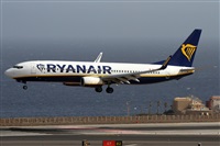Alfonso Sols - Asociacin Canary Islands Spotting. Click to see full size photo