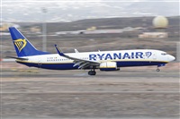Miguel A. gueda Rguez.  (CANARY ISLANDS SPOTTING). Click to see full size photo