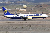 Miguel A. gueda Rguez.  (CANARY ISLANDS SPOTTING). Click to see full size photo