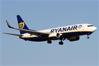 Alfonso Sols - Asociacin Canary Islands Spotting. Click to see full size photo