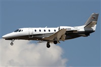 Alfonso Sols - Asociacin Canary Islands Spotting. Haz click para ampliar