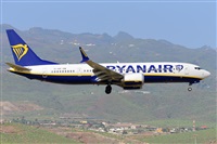 Miguel A. gueda Rguez.  (CANARY ISLANDS SPOTTING). Haz click para ampliar