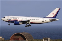 ©Adolfo Bento - Gran Canaria Spotters. Click to see full size photo ©Adolfo Bento - Gran Canaria Spotters. Click to see full size photo