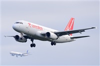 Miguel A. gueda Rguez.  (CANARY ISLANDS SPOTTING). Click to see full size photo