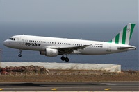 Alfonso Sols - Asociacin Canary Islands Spotting. Click to see full size photo