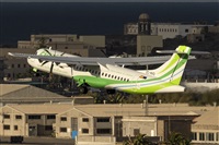 ©Adolfo Bento - Gran Canaria Spotters. Click to see full size photo ©Adolfo Bento - Gran Canaria Spotters. Click to see full size photo