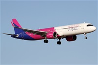 ©Alfonso Solís - Asociación Canary Islands Spotting. Click to see full size photo ©Alfonso Solís - Asociación Canary Islands Spotting. Click to see full size photo