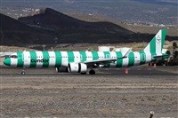 ©Alfonso Solís - Asociación Canary Islands Spotting. Click to see full size photo ©Alfonso Solís - Asociación Canary Islands Spotting. Click to see full size photo