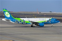 Miguel A. gueda Rguez.  (CANARY ISLANDS SPOTTING). Click to see full size photo