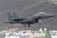 ©Adolfo Bento - Gran Canaria Spotters. Click to see full size photo ©Adolfo Bento - Gran Canaria Spotters. Click to see full size photo