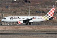 Alfonso Sols - Asociacin Canary Islands Spotting. Click to see full size photo