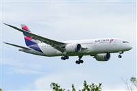 Miguel A. gueda Rguez.  (CANARY ISLANDS SPOTTING). Click to see full size photo