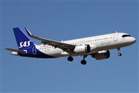 �Alfonso Sol�s - Asociaci�n Canary Islands Spotting. Click to see full size photo