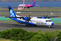 �Miguel A. �gueda Rguez.  (CANARY ISLANDS SPOTTING). Click to see full size photo