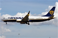 ©Alfonso Solís - Asociación Canary Islands Spotting. Click to see full size photo ©Alfonso Solís - Asociación Canary Islands Spotting. Click to see full size photo