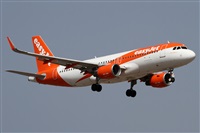 �Alfonso Sol�s - Asociaci�n Canary Islands Spotting. Click to see full size photo