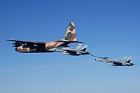 Luis Alvarez - AIRE org. Click to see full size photo
