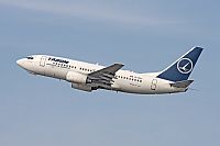 Jos Miguel Bernases - Noisy Spotters. Click to see full size photo