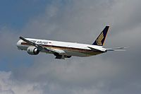 Jos Miguel Bernases - Noisy Spotters. Click to see full size photo