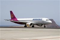 Javier de la Cruz - CANARY ISLANDS SPOTTING. Click to see full size photo
