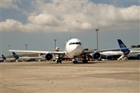 Javier de la Cruz - CANARY ISLANDS SPOTTING. Click to see full size photo