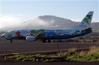 Ayoze Santana Mendez - Canary Islands Spotting. Click to see full size photo