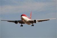 Rodrigo Carvalho - Noisy Spotters. Click to see full size photo