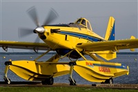 ©Javier de la Cruz - CANARY ISLANDS SPOTTING. Click to see full size photo ©Javier de la Cruz - CANARY ISLANDS SPOTTING. Click to see full size photo