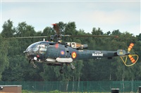 Aset Anton. Click to see full size photo