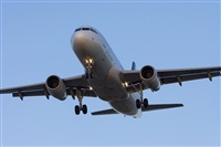 ©José Miguel Bernases - Noisy Spotters. Click to see full size photo ©José Miguel Bernases - Noisy Spotters. Click to see full size photo