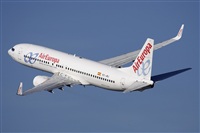 Jos Miguel Bernases - Noisy Spotters. Click to see full size photo