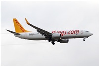 Miguel A. gueda Rguez.  (CANARY ISLANDS SPOTTING). Click to see full size photo
