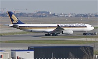 Rubn Gil - Noisy Spotters. Click to see full size photo