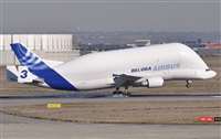 Rubn Gil - Noisy Spotters. Click to see full size photo