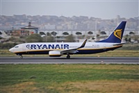 Alvaro Mijares (Seoul Spotting). Click to see full size photo