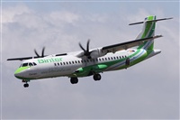 Alfonso Sols - Asociacin Canary Islands Spotting. Click to see full size photo