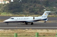 Javier de la Cruz - CANARY ISLANDS SPOTTING. Click to see full size photo