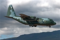 Juan Cruz Menndez-Gran Canaria Spotters. Click to see full size photo