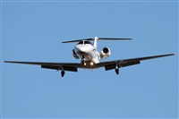Rodrigo Carvalho - Noisy Spotters. Click to see full size photo