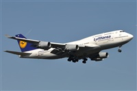 Rubn Gil - Noisy Spotters. Click to see full size photo