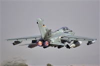 Antonio Zamora - La Mancha Spotters. Click to see full size photo