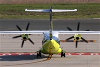 Rodrigo Carvalho - Noisy Spotters. Click to see full size photo