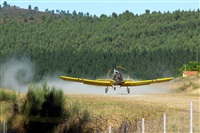 Click here to see full size photo