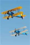 Moga Ral Viorel. Click to see full size photo