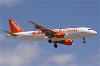 Alfonso Sols - Asociacin Canary Islands Spotting. Click to see full size photo
