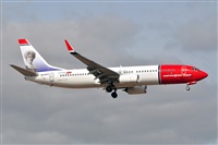 Miguel A. gueda Rguez.  (CANARY ISLANDS SPOTTING). Click to see full size photo