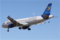 ©Alfonso Solís - Asociación Canary Islands Spotting. Click to see full size photo ©Alfonso Solís - Asociación Canary Islands Spotting. Click to see full size photo