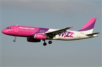 Rubn C.. Click to see full size photo