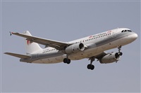 Alfonso Sols - Asociacin Canary Islands Spotting. Haz click para ampliar