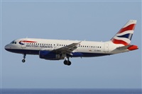 ©Alfonso Solís - Asociación Canary Islands Spotting. Click to see full size photo ©Alfonso Solís - Asociación Canary Islands Spotting. Click to see full size photo